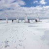 DN Canadian Championships